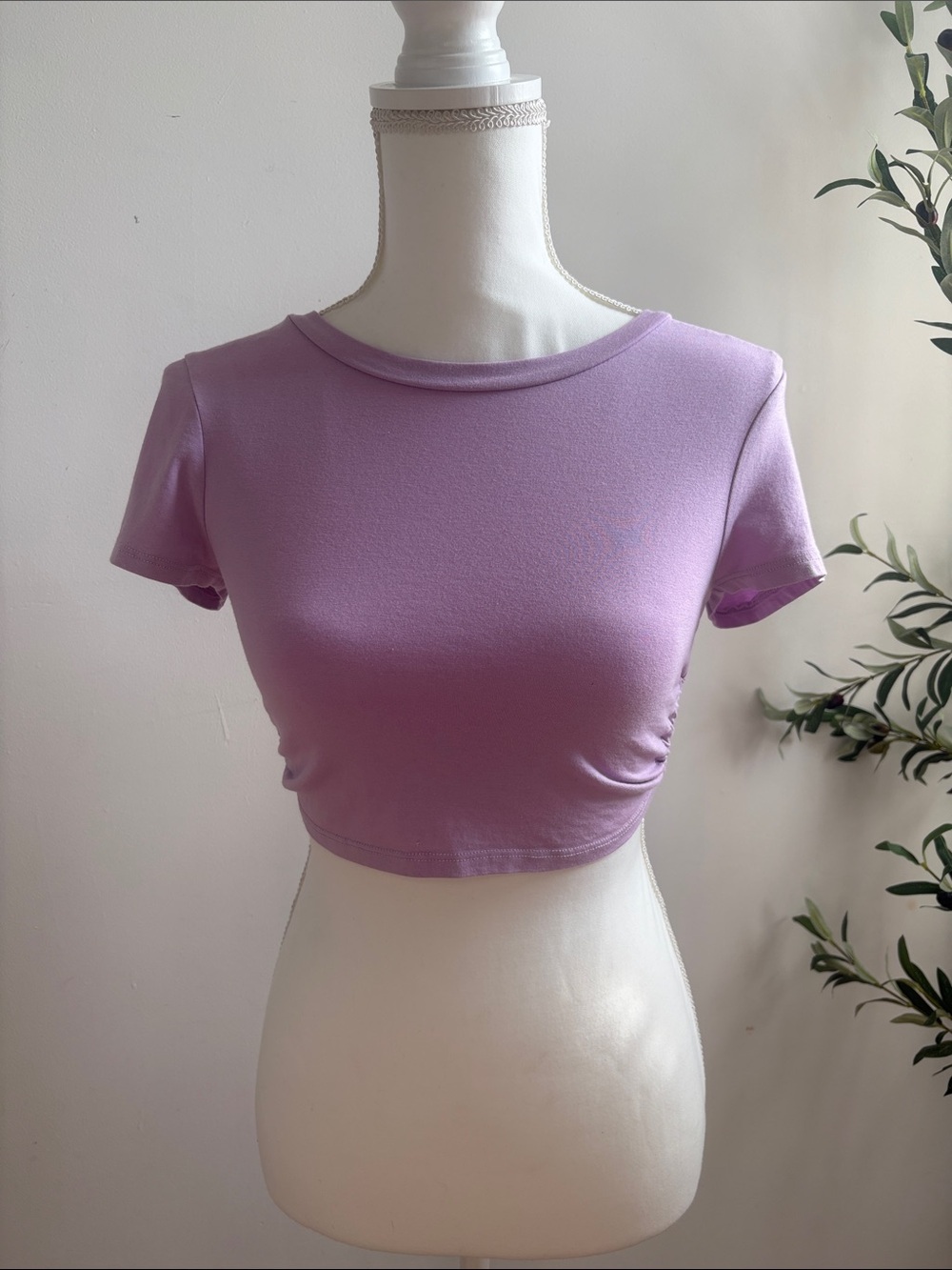 Ambiance Lavender Short Sleeve Cropped Tee